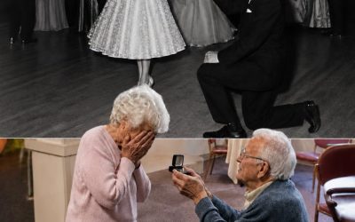 Un Hombre de 80 Años Encontró a Su Amor de Secundaria Después de 60 Años… Pero Cuando Se Arrodilló, Su Secreto ¡Dejó a Todos en Shock