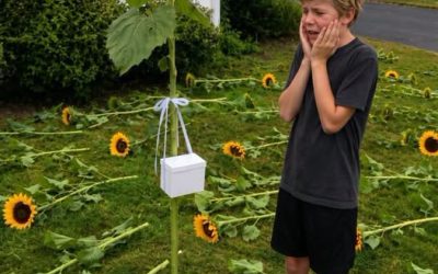 Cada año, mi hijo plantaba girasoles para su hermana gemela que nunca volvía a casa, hasta que una mañana encontramos todas las flores arrancadas y una caja blanca sellada esperándonos en medio del jardín.