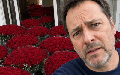 La mañana de mi cumpleaños encontré cien rosas rojas frente a mi puerta… El mensaje de la tarjeta hizo que llamara inmediatamente a la policía