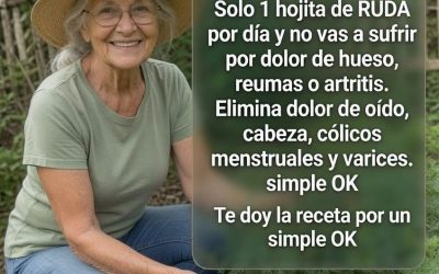 Una hoja de ruda diaria… Te doy la receta a cambio de un simple “OK”