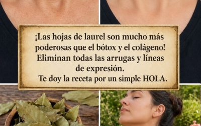 ¡Las hojas de laurel son mucho más poderosas que el bótox y el colágeno! Eliminan todas las arrugas y líneas de expresión. Necesito que digas algo para que sigas recibiendo mis recetas 🙏