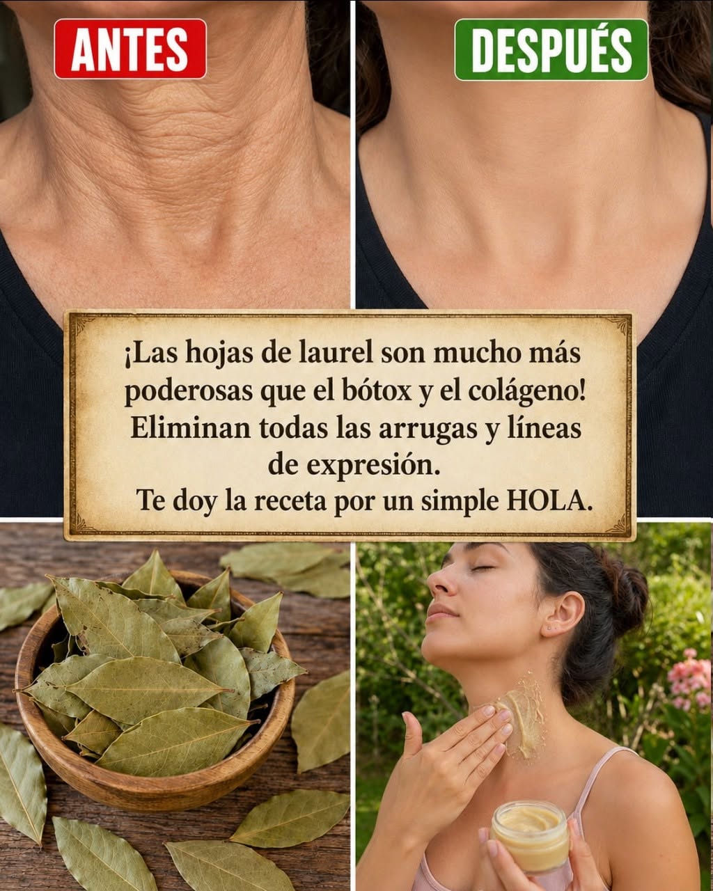 ¡Las hojas de laurel son mucho más poderosas que el bótox y el colágeno! Eliminan todas las arrugas y líneas de expresión. Necesito que digas algo para que sigas recibiendo mis recetas 🙏