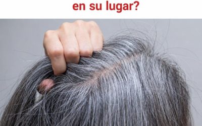 ¿Por qué las canas siguen incomodando a algunas personas?